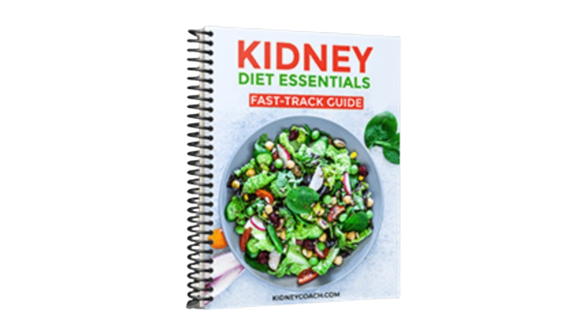 The Kidney Disease Solution Bonus 1